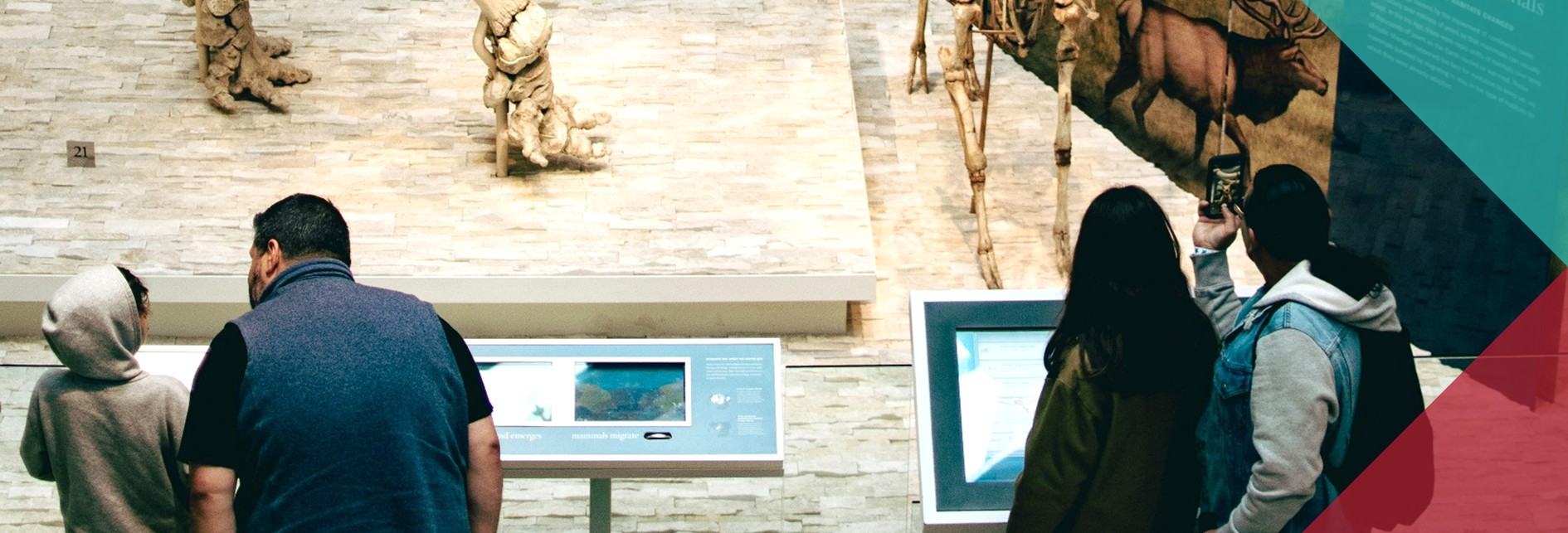 four people looking at information boards in the natural history section of a museum